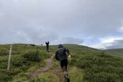 Nu har vi kommit upp på kalfjället.