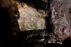 Lite olika gråttor.